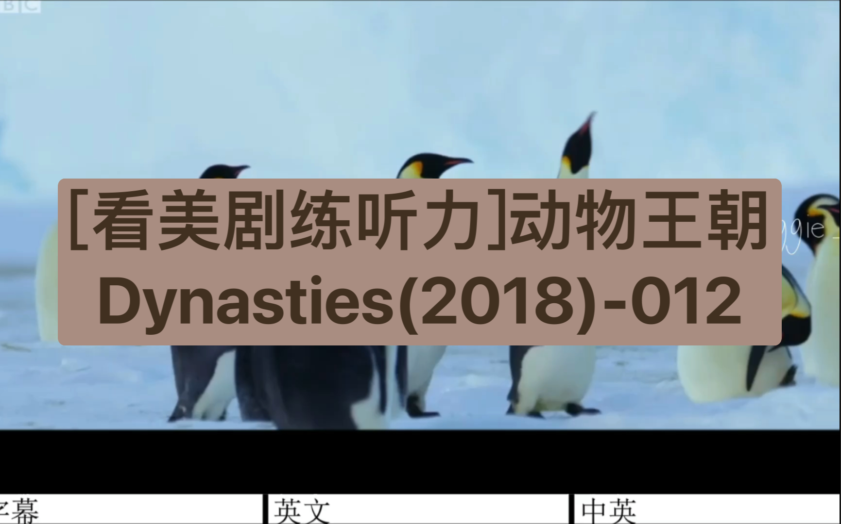 [图][看美剧练听力]动物王朝Dynasties(2018)-012