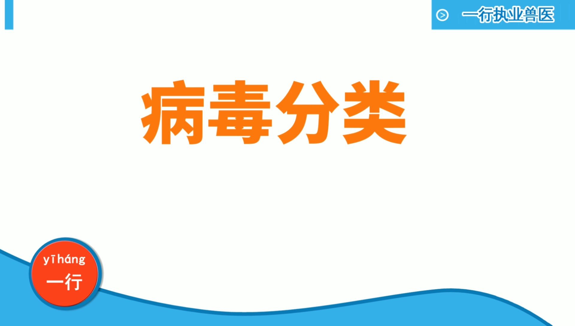 执业兽医资格考试之病毒分类,总的分类,有记忆口诀哔哩哔哩bilibili