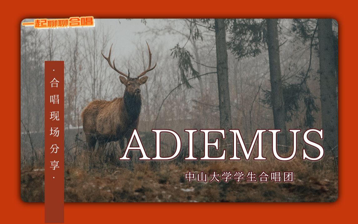 【合唱现场分享】超越时空的天籁之音,混声合唱《Adiemus》哔哩哔哩bilibili