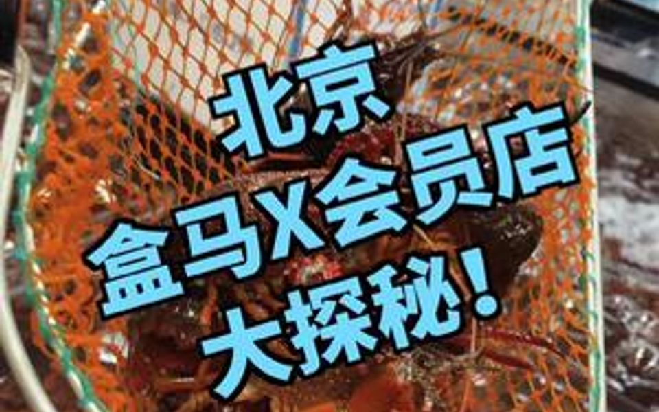 北京盒马X会员店大揭秘!哔哩哔哩bilibili