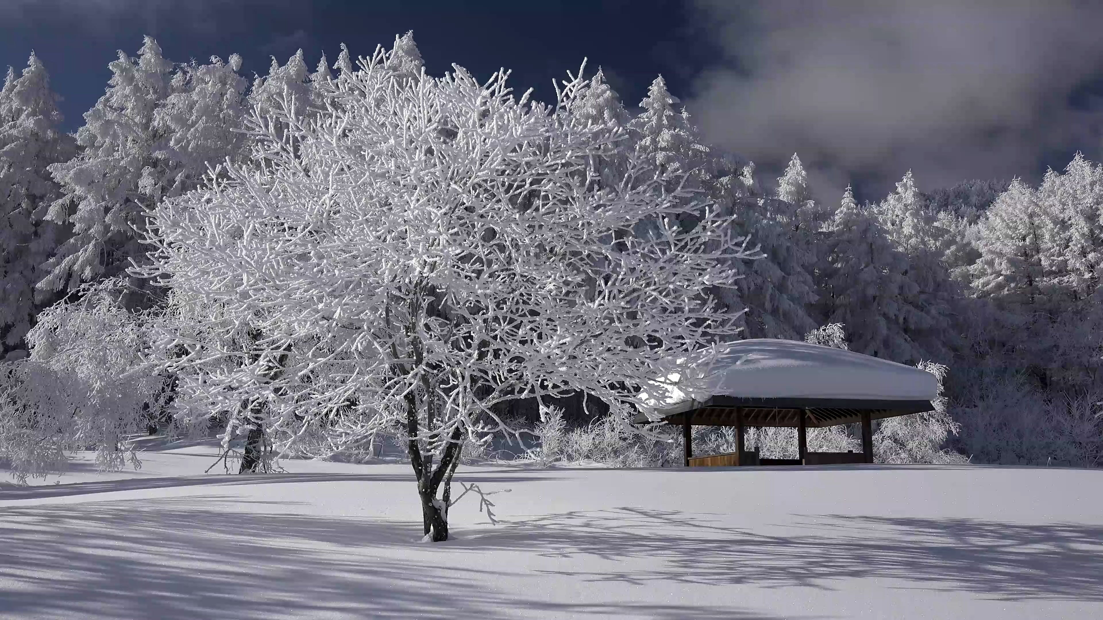 4k高清 冬季高原雪景 美极了