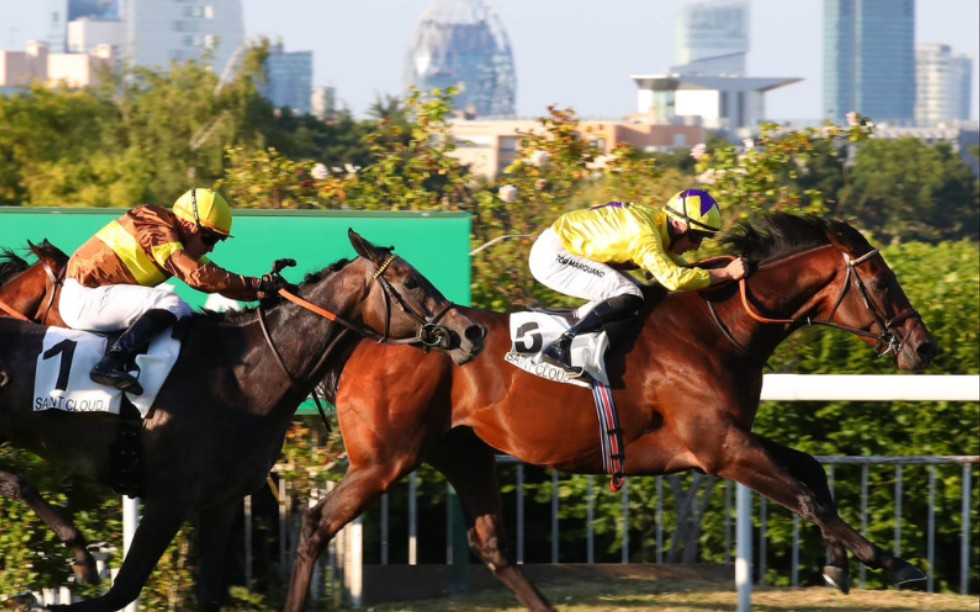 [图]2022.7.16 尤金亚当锦标｜Prix Eugène Adam（GⅡ）——My Prospero/唤雨呼风（IRE）