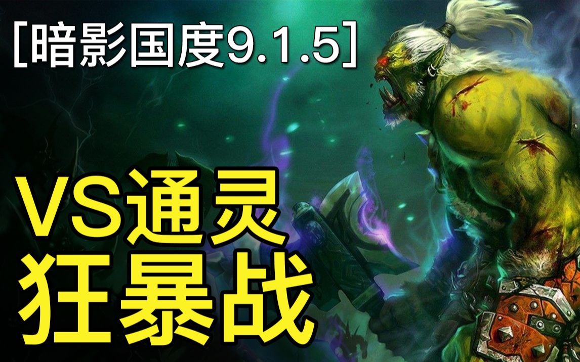 通灵DH vs 狂暴战《暗影国度》9.1.5魔兽世界浩动恶魔猎手DH PVP网络游戏热门视频