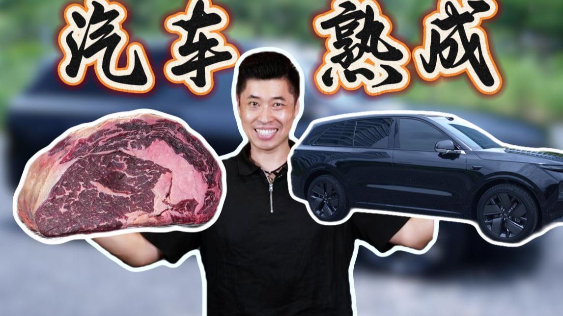 夏天把牛肉放在车载冰箱30天，还能吃吗？