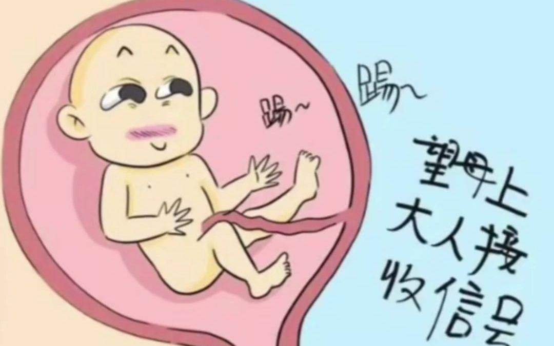 孕期出现这些情况,可能是宝宝饿了哔哩哔哩bilibili