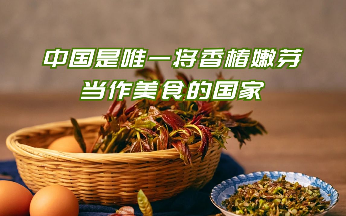 [图]香椿素会散发出一种奇特而浓郁的异香，评论区说说，你喜欢香椿的味道吗？