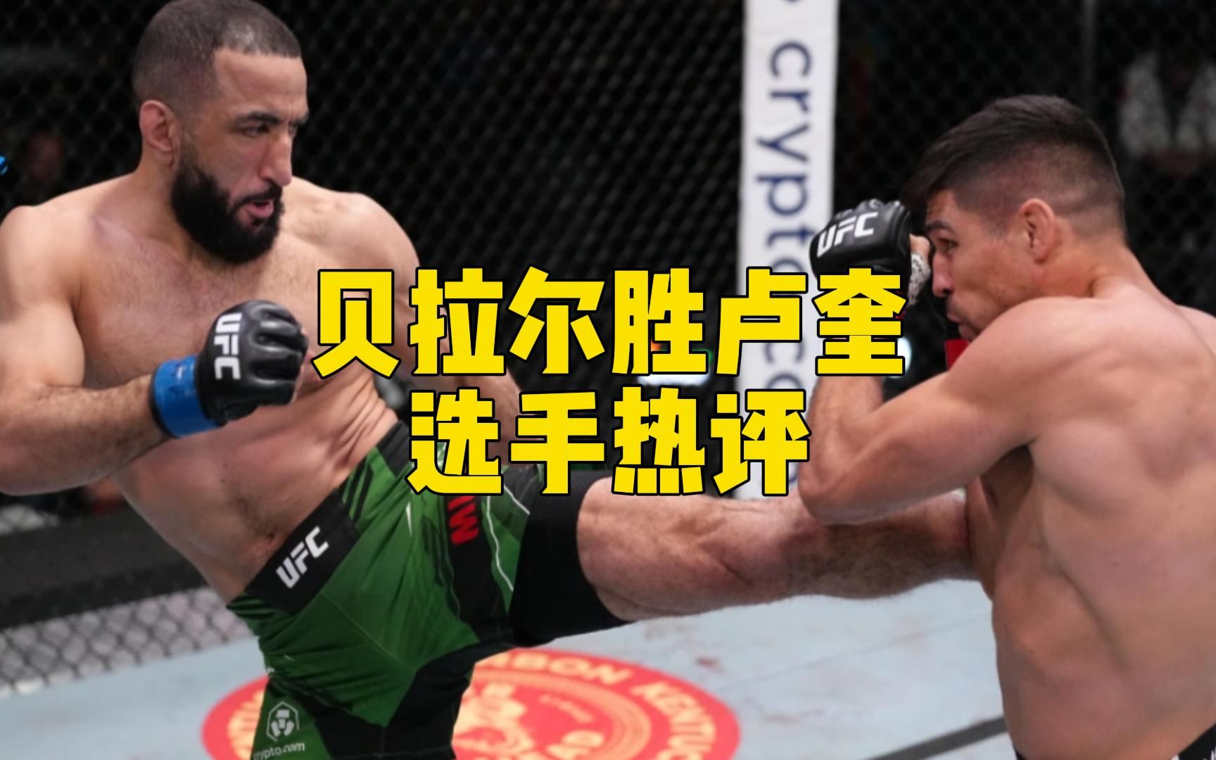 【UFC选手热评】贝拉尔判定胜卢奎哔哩哔哩bilibili