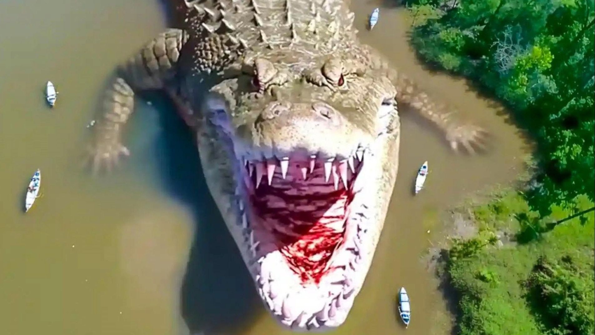 世界上最大的 10 种鳄鱼!