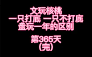 Download Video: 文玩核桃 一只打底 一只不打底 盘玩一年的区别！第365天！（完）