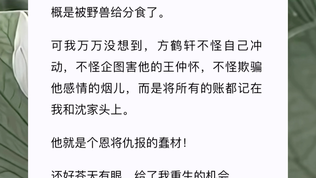 《相许青云》哔哩哔哩bilibili