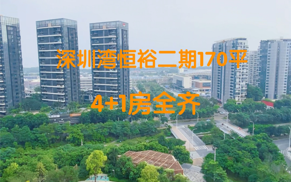 深圳湾住宅社区标杆,恒裕滨城二期,170平精装4+1房海景哔哩哔哩bilibili