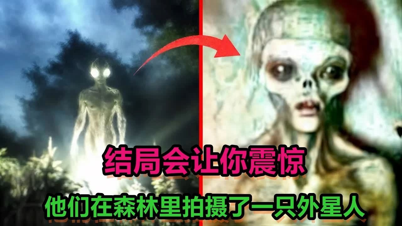 外星人真实存在录像图片