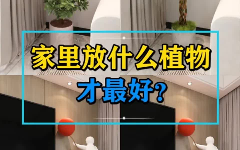 家里放什么植物才最好?看看你家中了几个哔哩哔哩bilibili