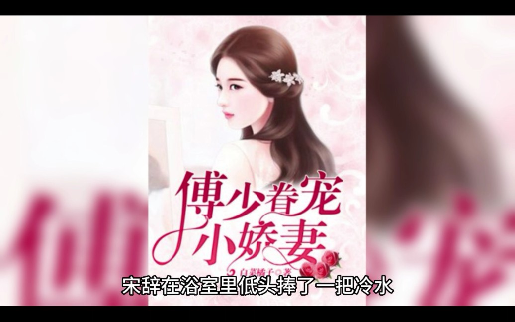 《傅少娇妻甜又软》宋辞傅东霖小说全文在线阅读【完整版】哔哩哔哩bilibili