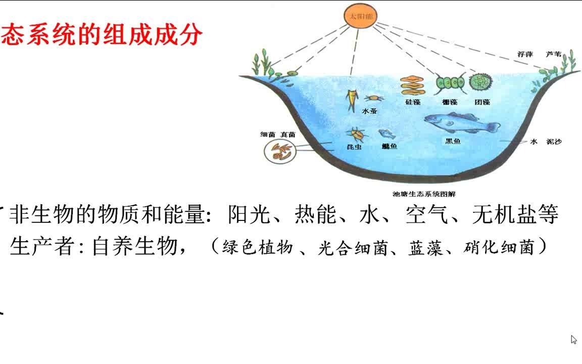 高中生物生态系统的组成成分人教版高二上学期必修3 第5章第1节生态系统的组成成分江苏省名师空中课堂哔哩哔哩bilibili