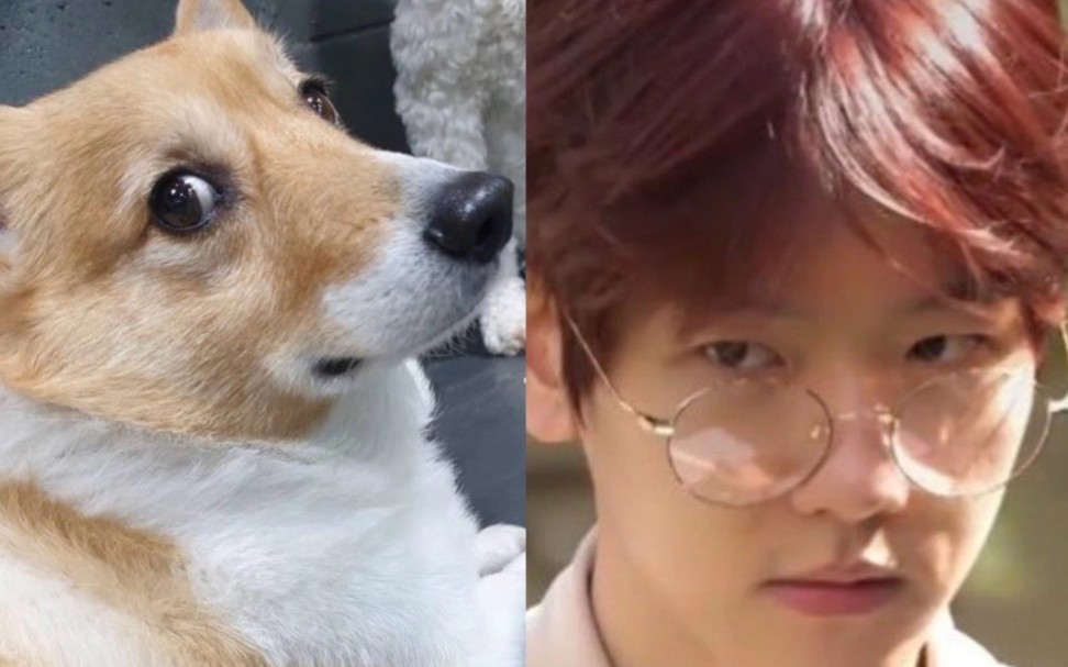 【边伯贤】伯贤跟梦龙真是越来越像了 (ˉ▽~～)_哔哩哔哩 (゜-゜)つ