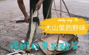 Download Video: 广西大山里的纯天然绿色食品，螺狮粉里的酸笋就是它腌制的