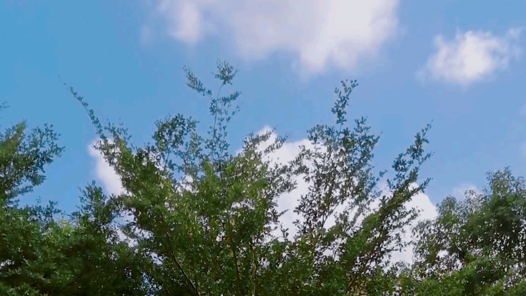 风动了_哔哩哔哩_bilibili