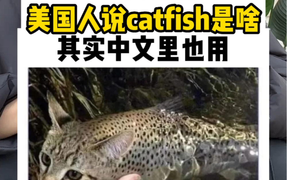 美国人说的catfish啥意思?中文里也很常用!哔哩哔哩bilibili