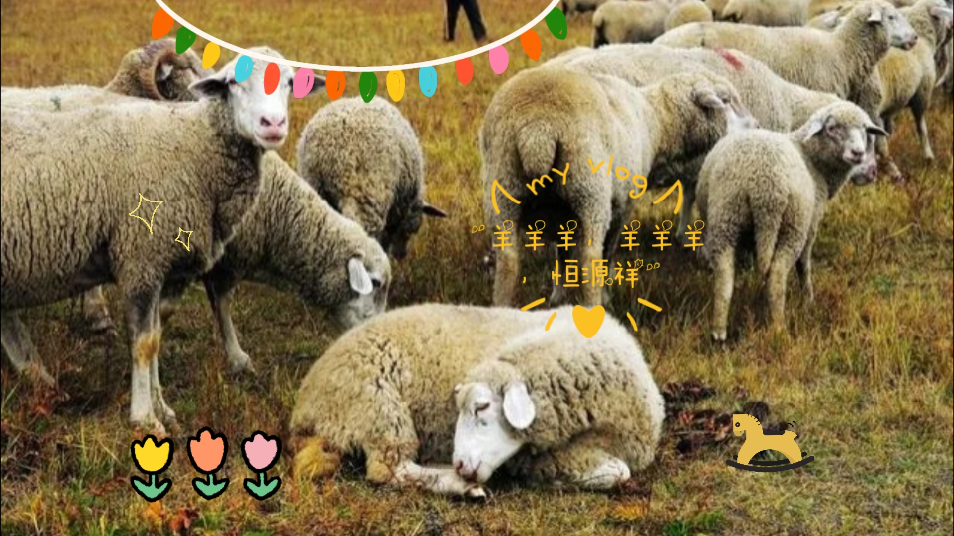 羊羊羊,羊羊羊,恒源祥