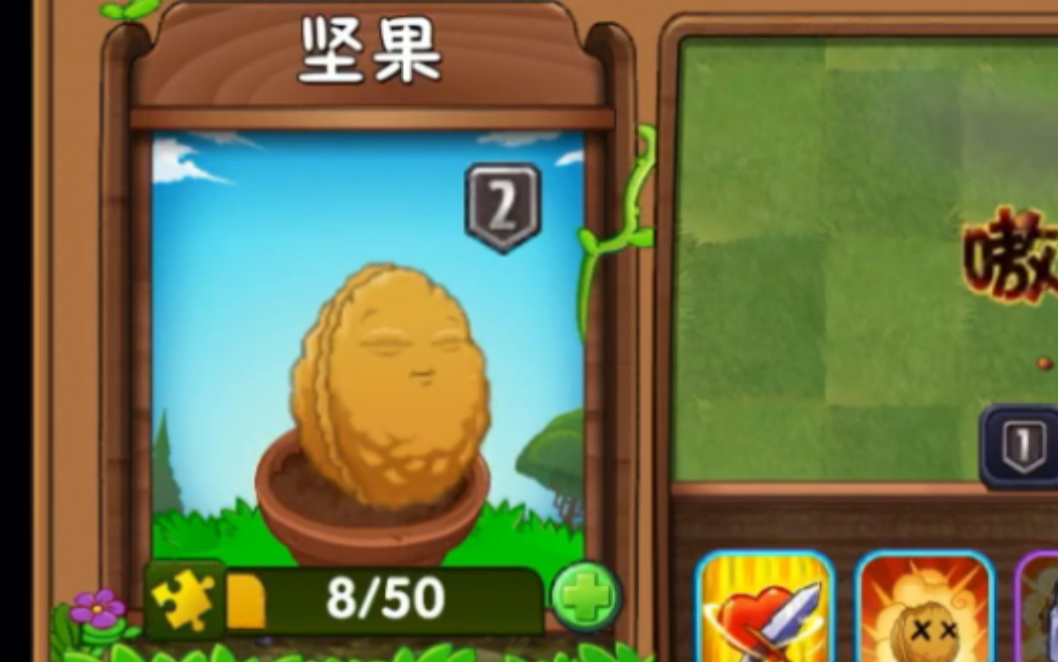 pvz图鉴之坚果