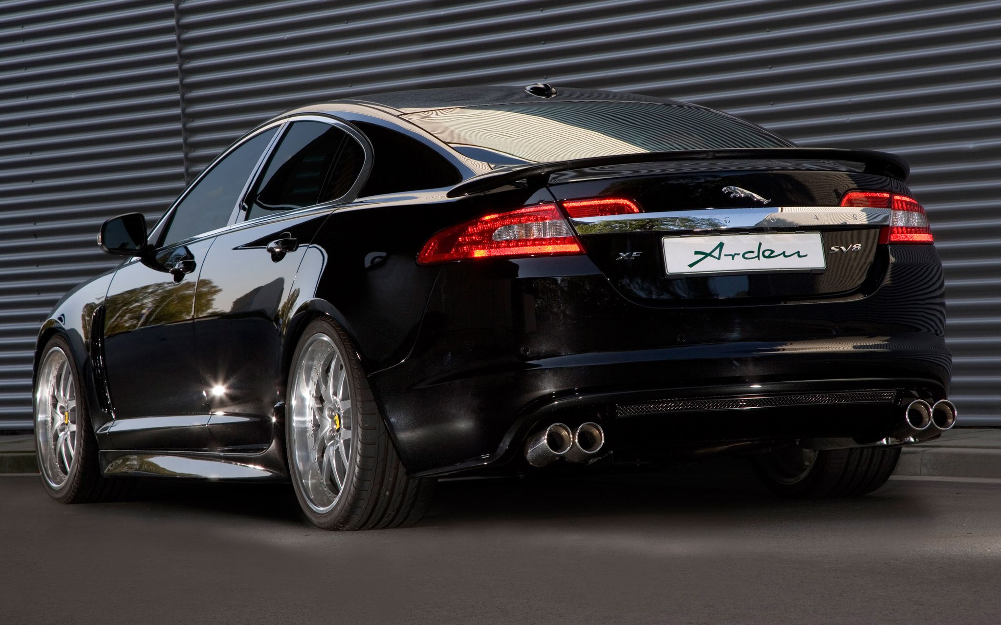 【洛圣都百科】欧斯洛 胡狼