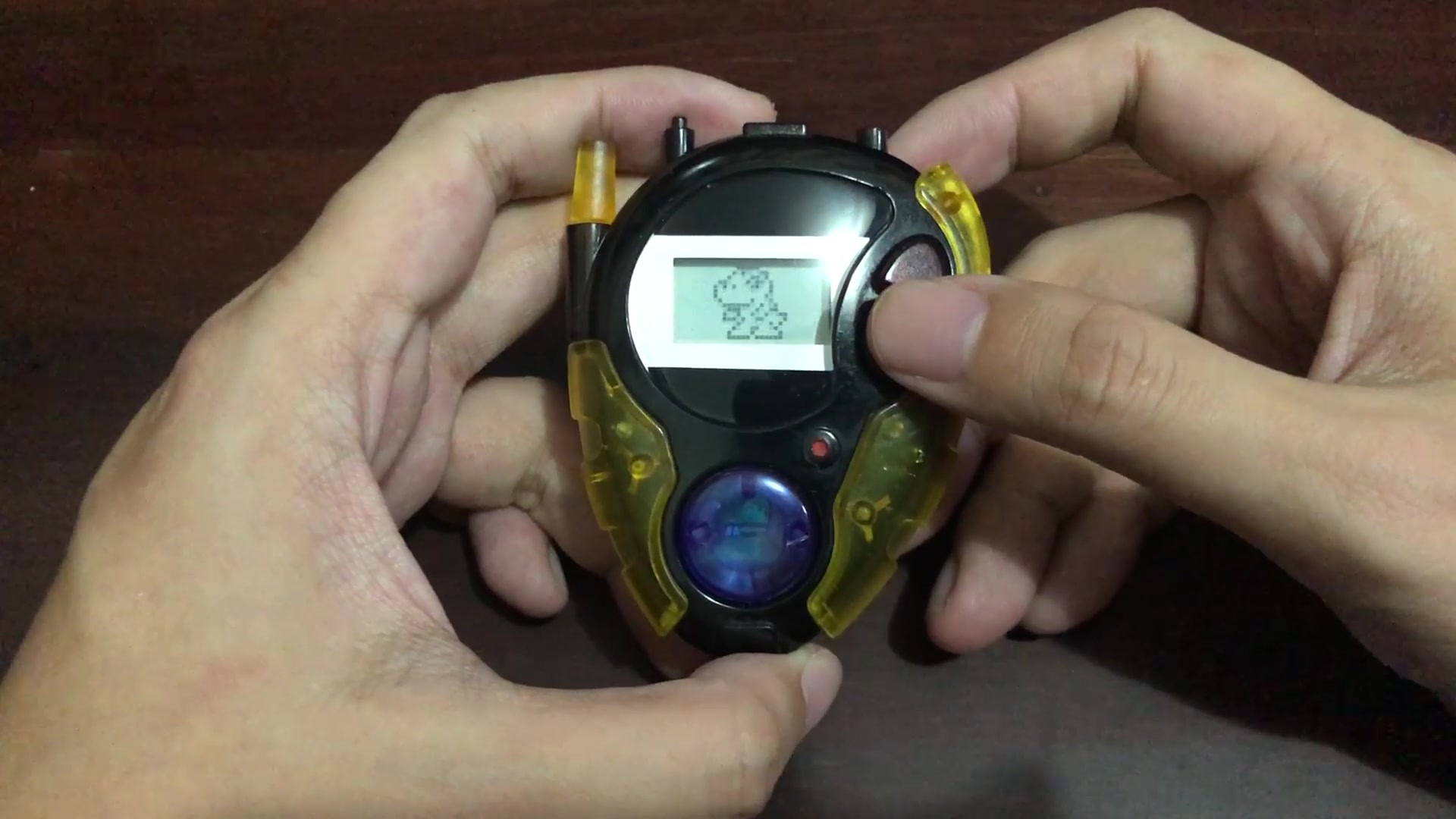 美版d3暴龙机3.0通关把玩视频08by半个仙