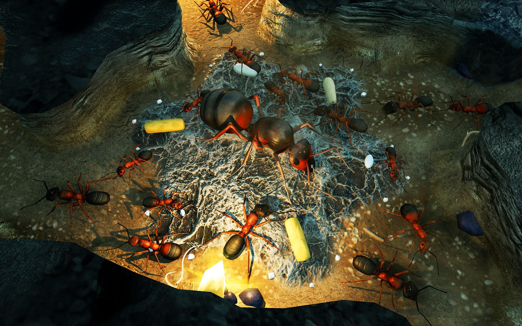 【地下蚁国】第二集:一个好的蚁巢必须有良好的抗压能力