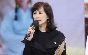 下载视频: 韩剧配音小天后，陈美贞精彩上演跨区之声