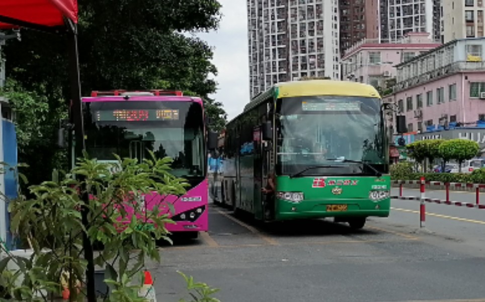 【星梦pov-56】广州公交204路 坦尾(柏悦湾)总站→珠江帝景苑总站