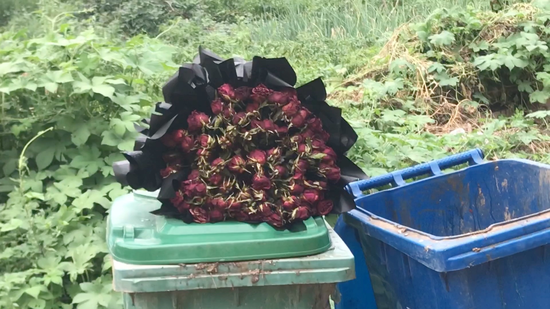 垃圾桶上浪漫的花