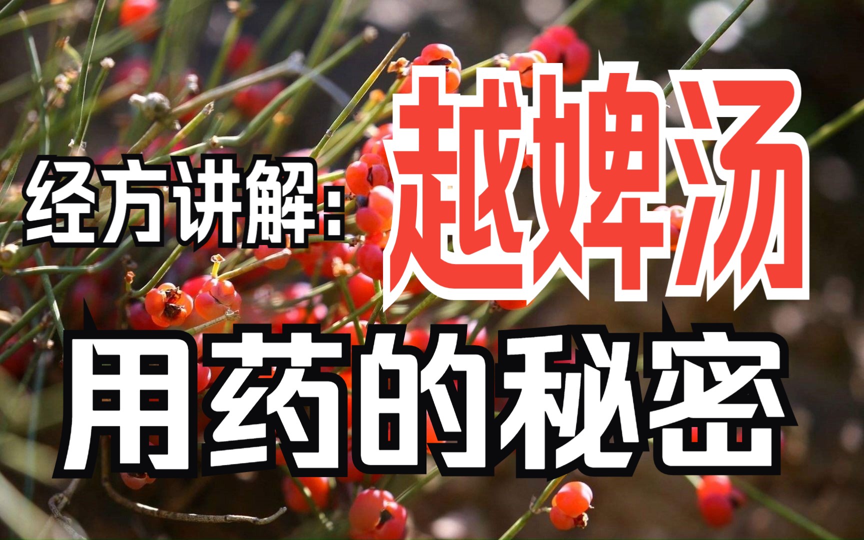 经方讲解: 越婢汤,用药的秘密!哔哩哔哩bilibili