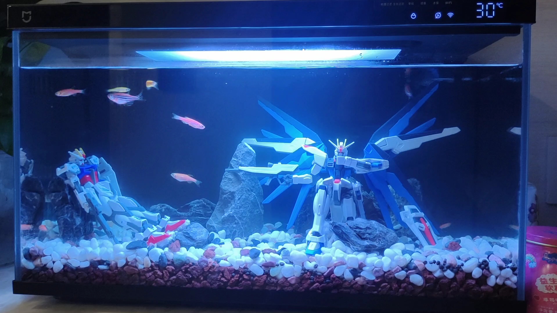新手第一个缸,米家鱼缸,高达造景