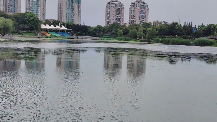 月牙湖是古南京护城河的一部分