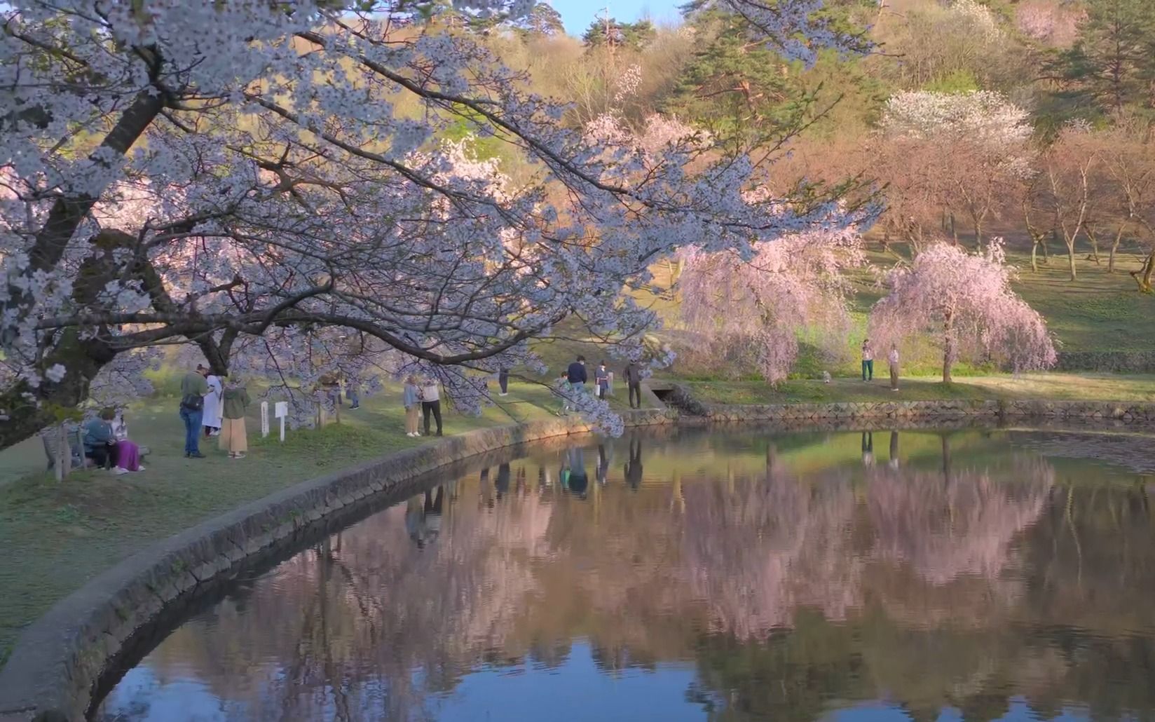 [图]【日本巡礼-15.新潟県】長岡 悠久山公園の桜 | Sakura at Nagaoka Yukyuzan Park