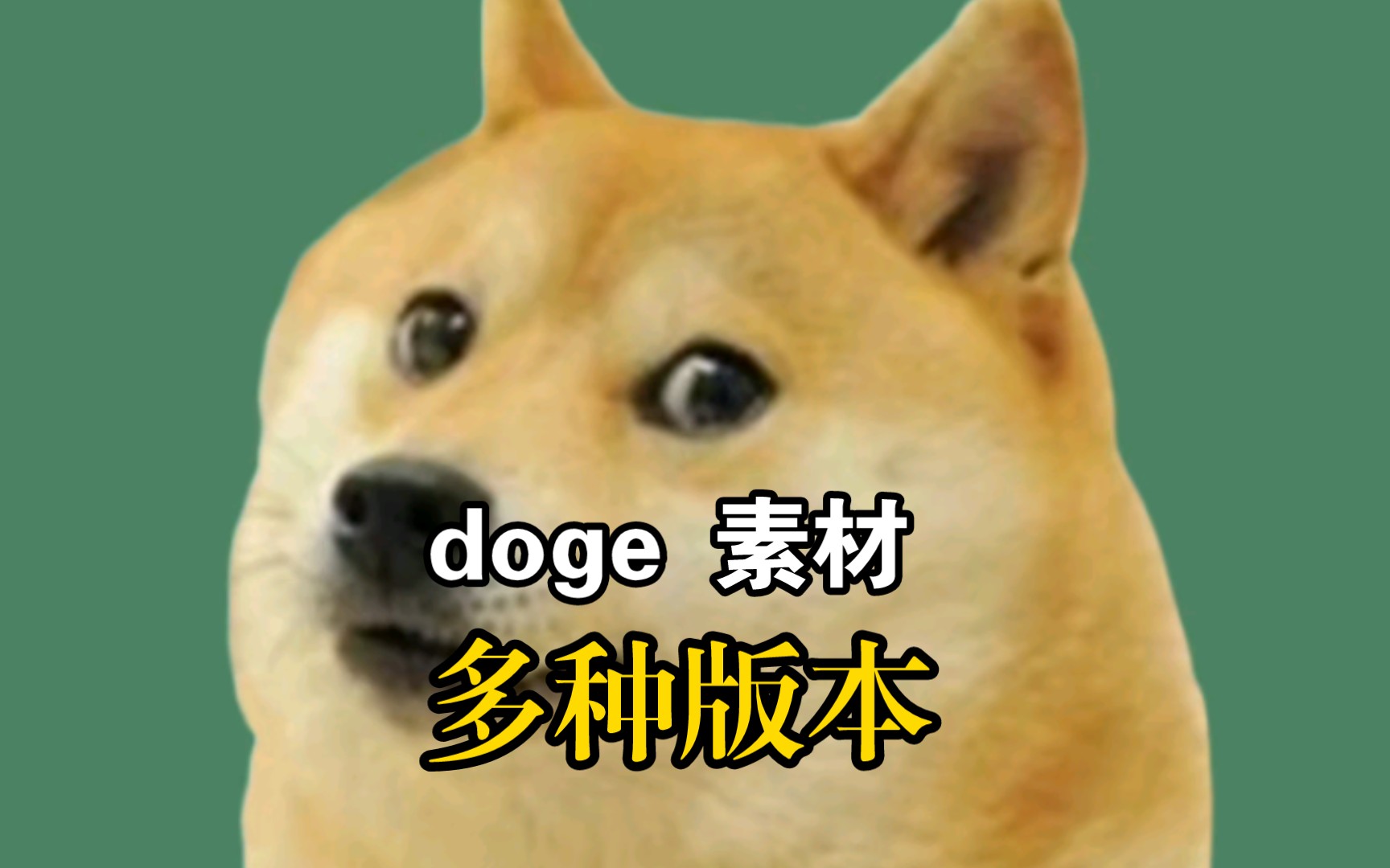 doge 多种版本素材哔哩哔哩bilibili