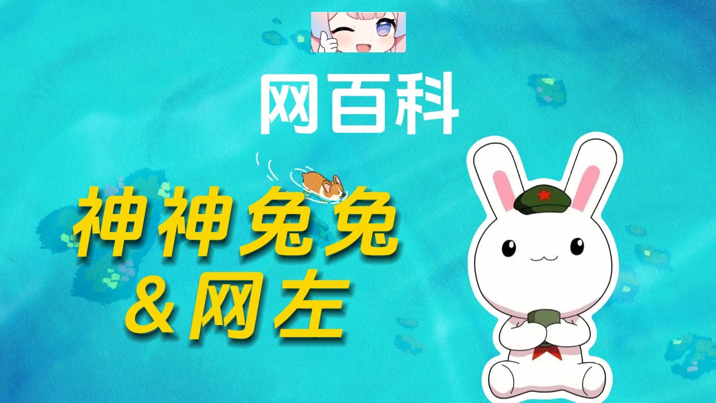 神神兔兔网左是什么意思?哔哩哔哩bilibili