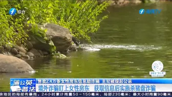 售卖2.4万条女房东信息，助境外杀猪盘诈骗，主犯被提起公诉