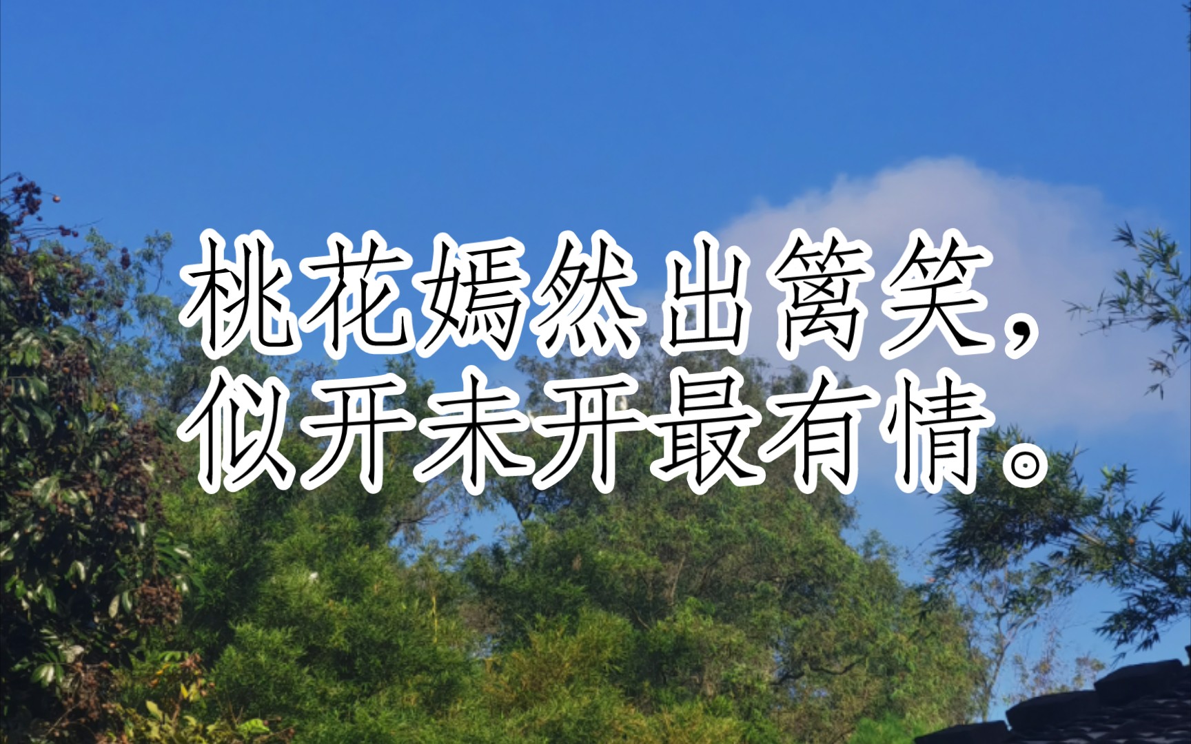 古诗三百首(春日[宋代]汪藻)