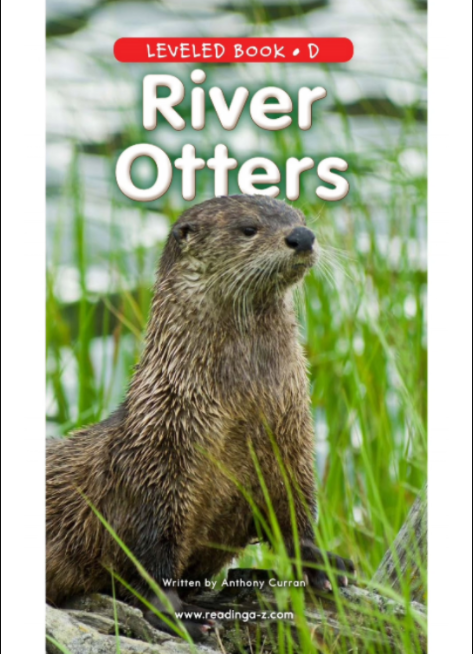 每日英语绘本阅读 RAZD《River Otters》哔哩哔哩bilibili