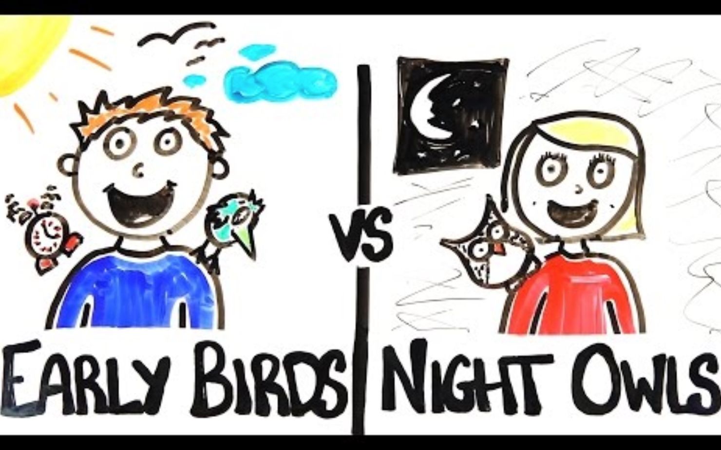 【AsapSCIENCE】早起的鸟儿与夜猫子 Early Birds VS Night Owls