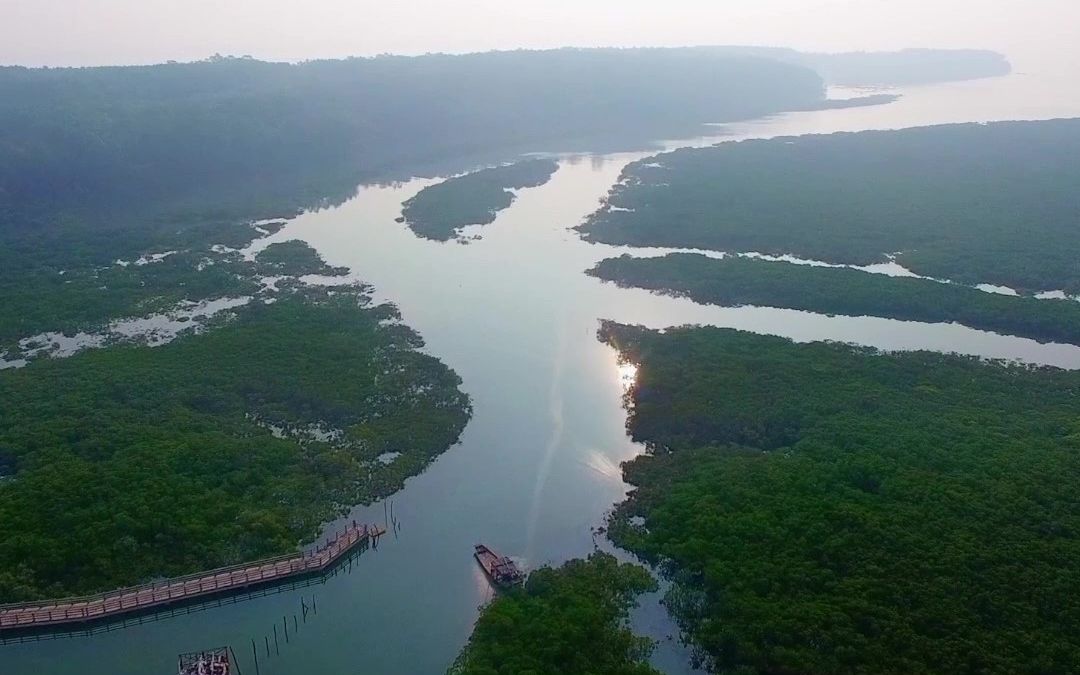 [图]蓝海中国 北海丨依海而生的红树林