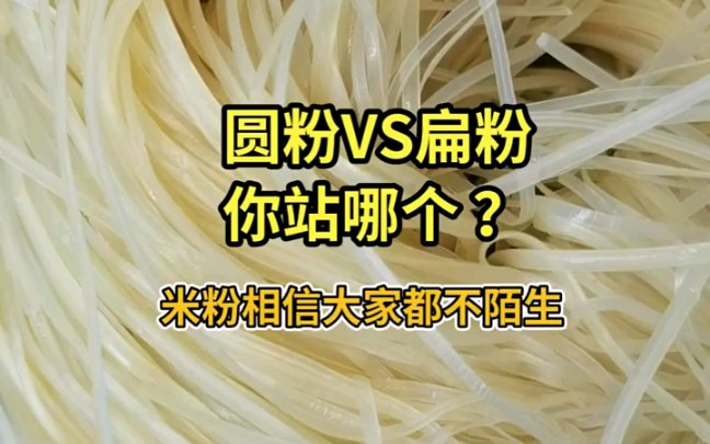 全自动不锈钢米线机米粉机生产的圆粉和扁粉,你喜欢哪个?哔哩哔哩bilibili