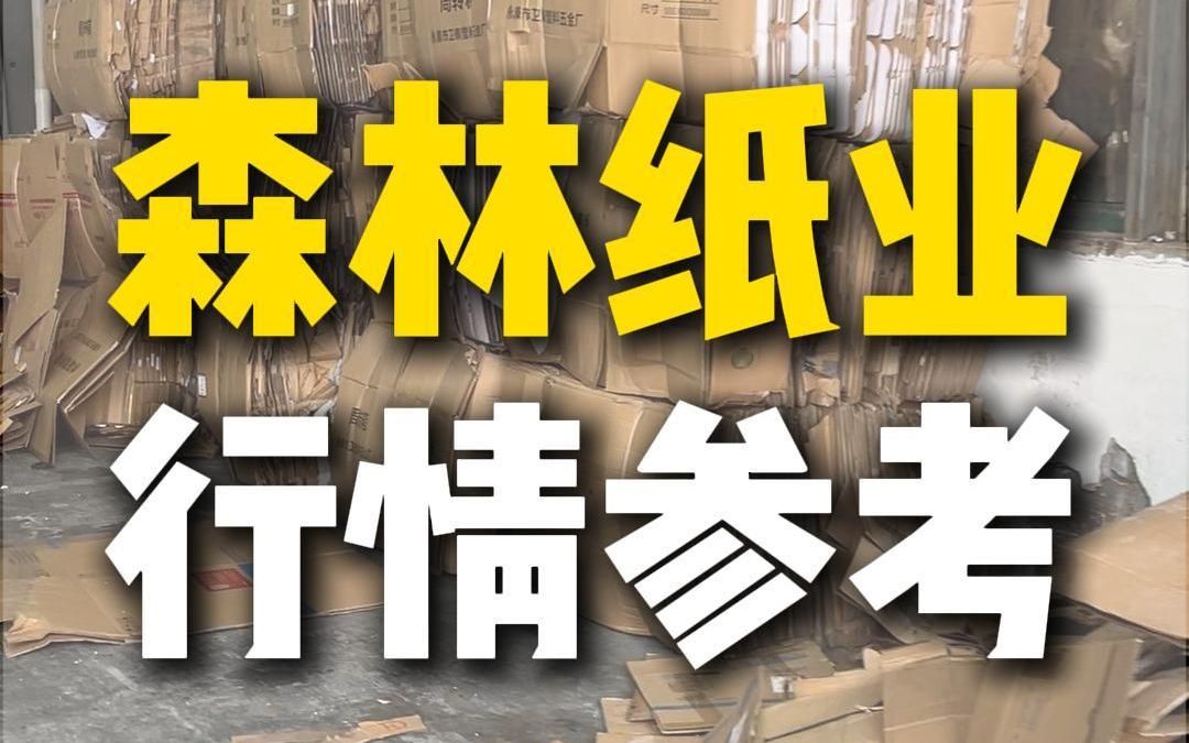 9月23日浙江森林纸业采购行情参考哔哩哔哩bilibili