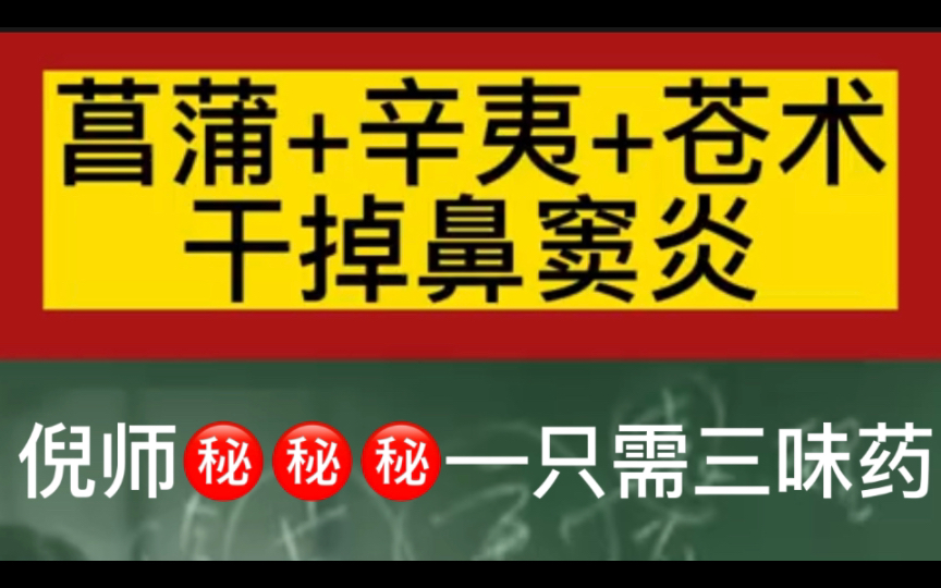 干掉鼻窦炎,倪海厦老师推荐,就这三味药.哔哩哔哩bilibili