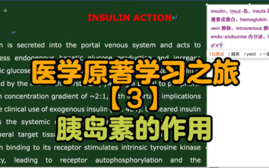 【医学英语】医学原著学习之旅【3】胰岛素的作用哔哩哔哩bilibili