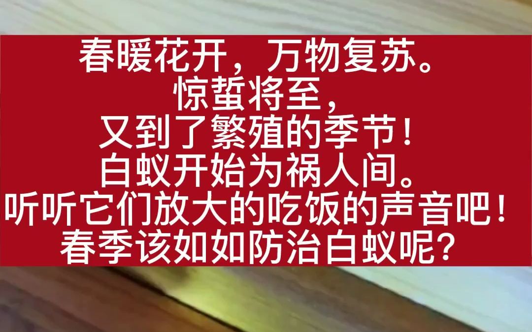 东莞灭白蚁防治中心上门杀灭白蚁家里木地板储物柜门框有白蚁怎么办房屋商铺装修预防白蚁家俬厂家俱厂木制品印刷包装厂治白蚁防白蚁哔哩哔哩bilibili