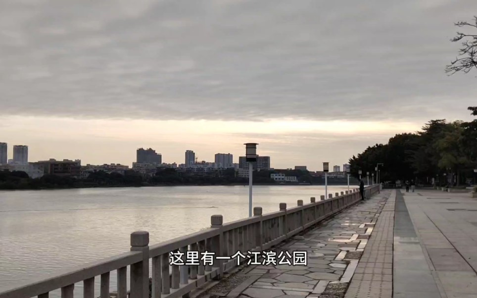 东莞高埗江滨公园,是人们休闲钓鱼的绝佳场所