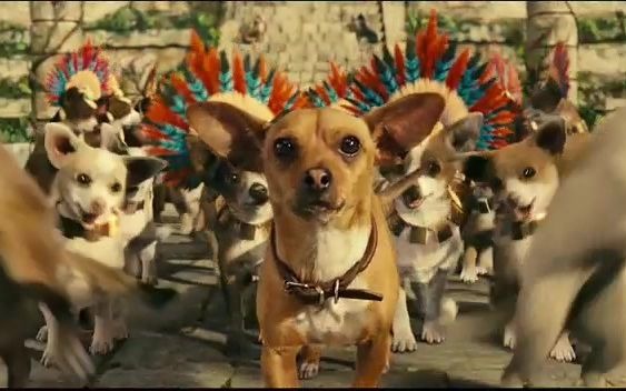 富贵吉娃娃 Beverly Hills Chihuahua1哔哩哔哩bilibili