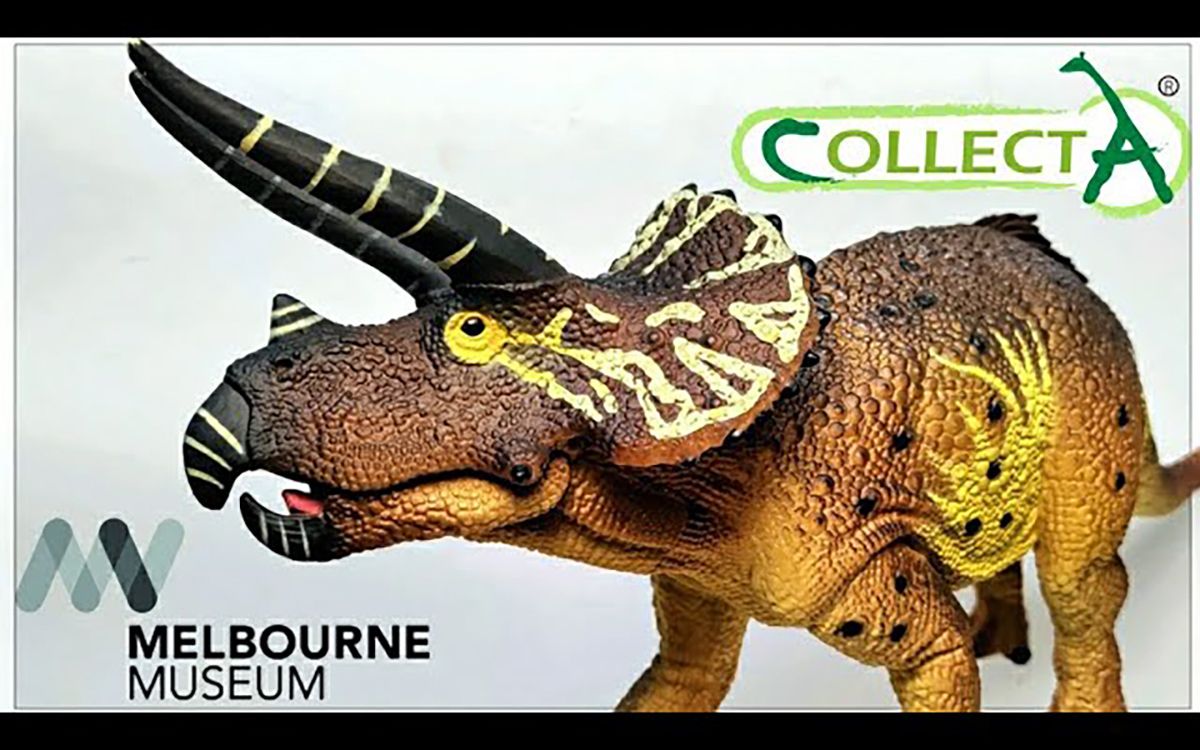 collecta/墨尔本博物馆独家1:40比例三角龙评论!